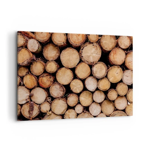 Obraz na plátně - Nový začátek - 100x70 cm