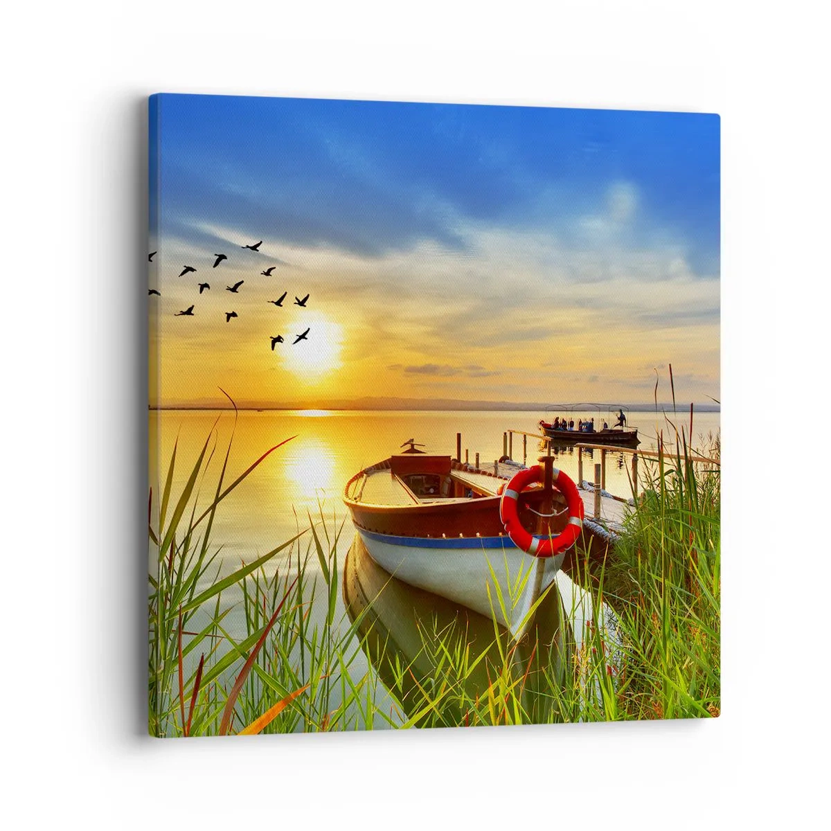 Obraz na plátně - Kormoráni už odlétají - 40x40 cm