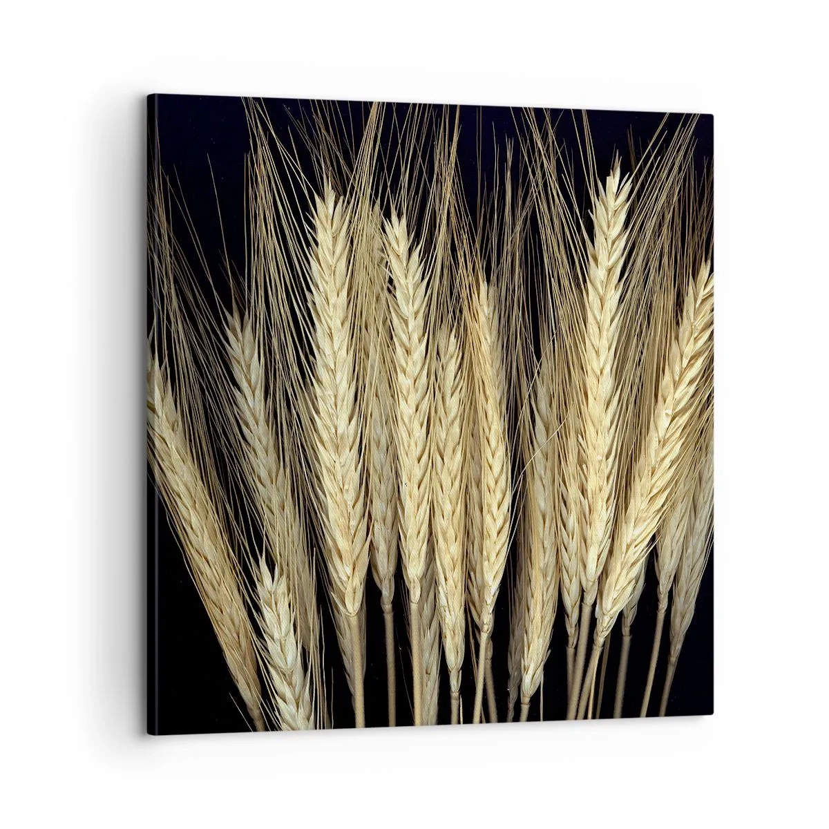 Obraz na plátně - Rustikální magie - 60x60 cm