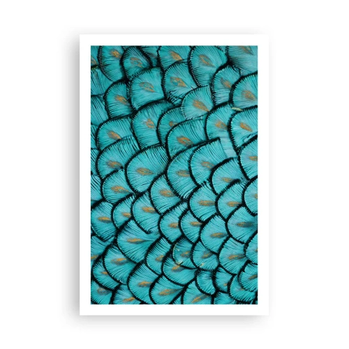 Plakát - Velká slavnost peří - 61x91 cm