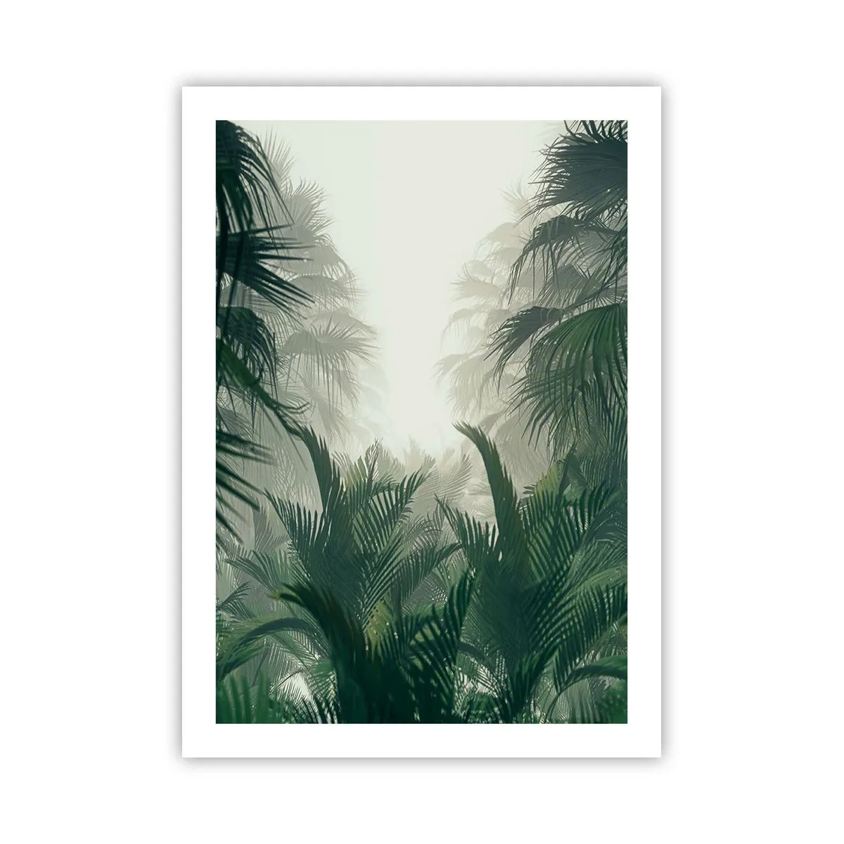 Plakát - Tropická záhada - 50x70 cm