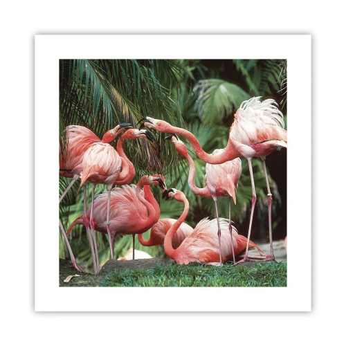 Plakát - Odpolední drby - 40x40 cm