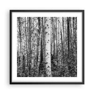 Plakát v černém rámu - Březová kolonáda - 50x50 cm