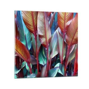 Obraz na skle - Barevná houština - 40x40 cm