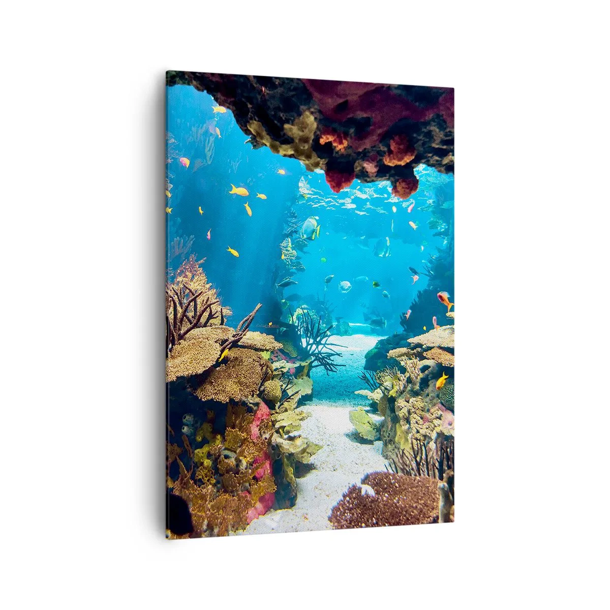 Obraz na plátně - Ani ve snu tě to nenapadlo - 70x100 cm