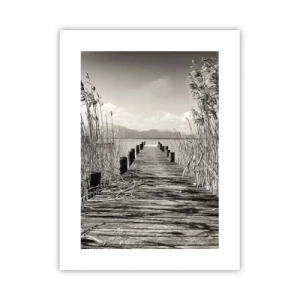 Plakát - V ústraní travin - 30x40 cm