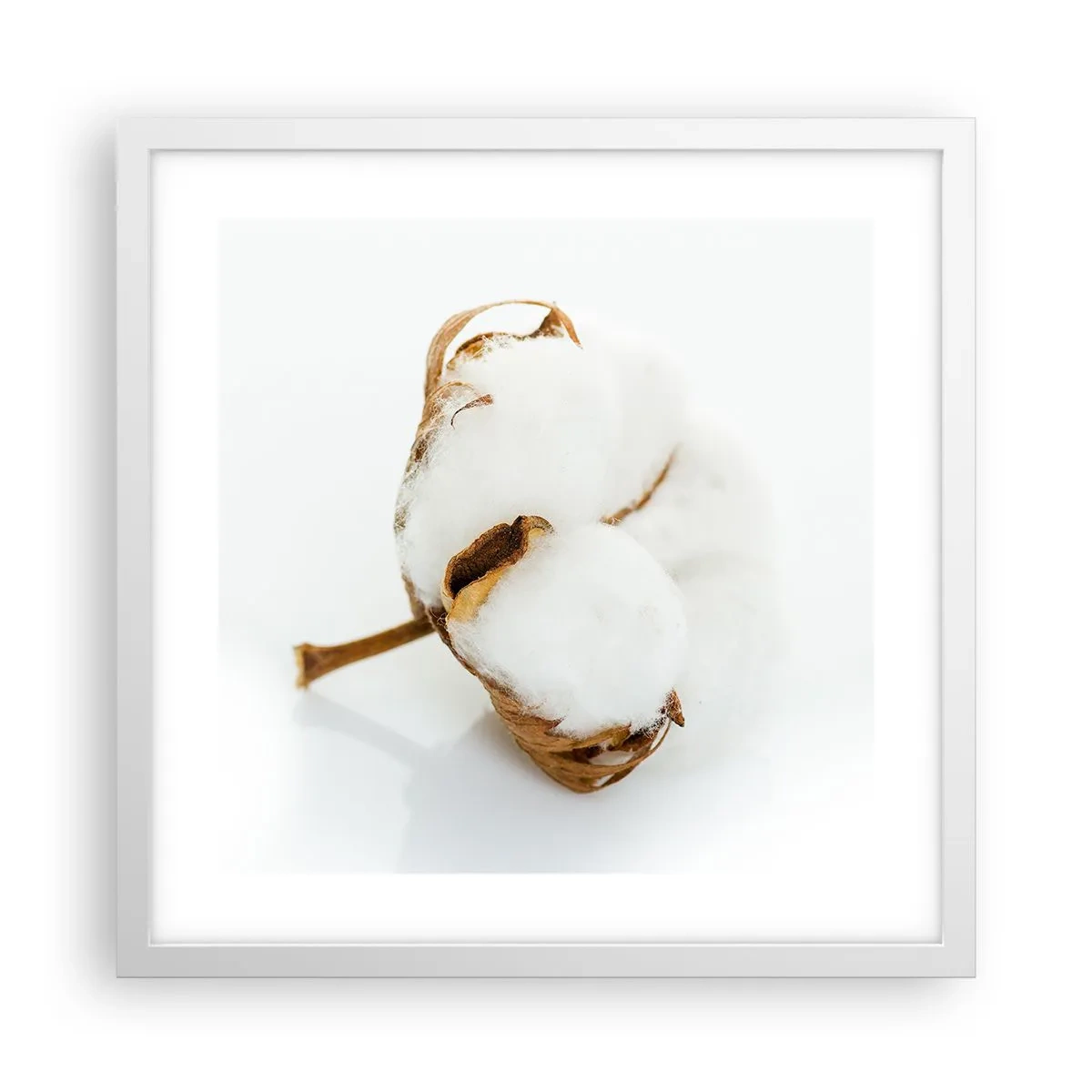 Plakát v bílém rámu - Měkká od přírody - 40x40 cm
