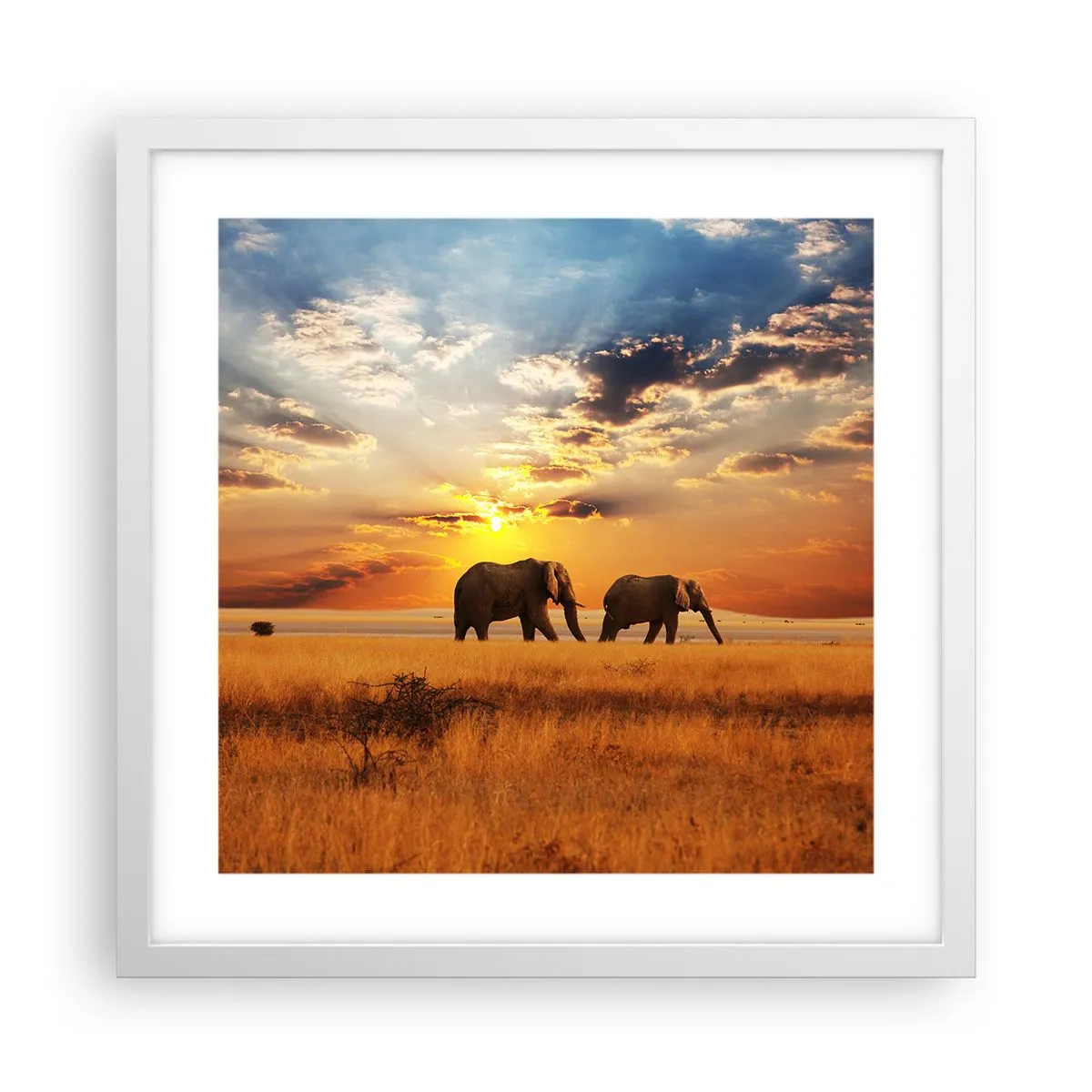 Plakát v bílém rámu - Rodinná procházka - 40x40 cm