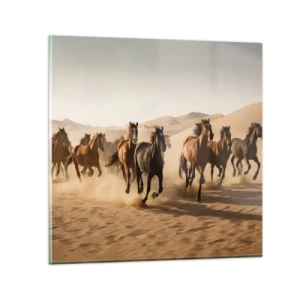 Obraz na skle - Volné jako vítr - 40x40 cm