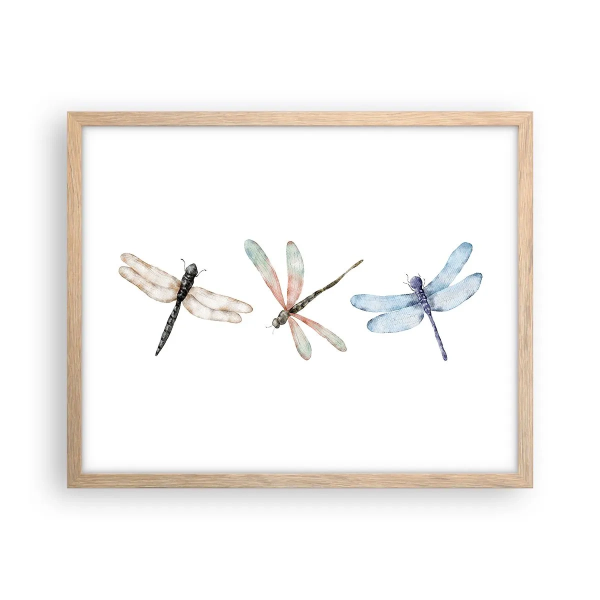 Plakát v rámu světlý dub - Beztížné vážky - 50x40 cm