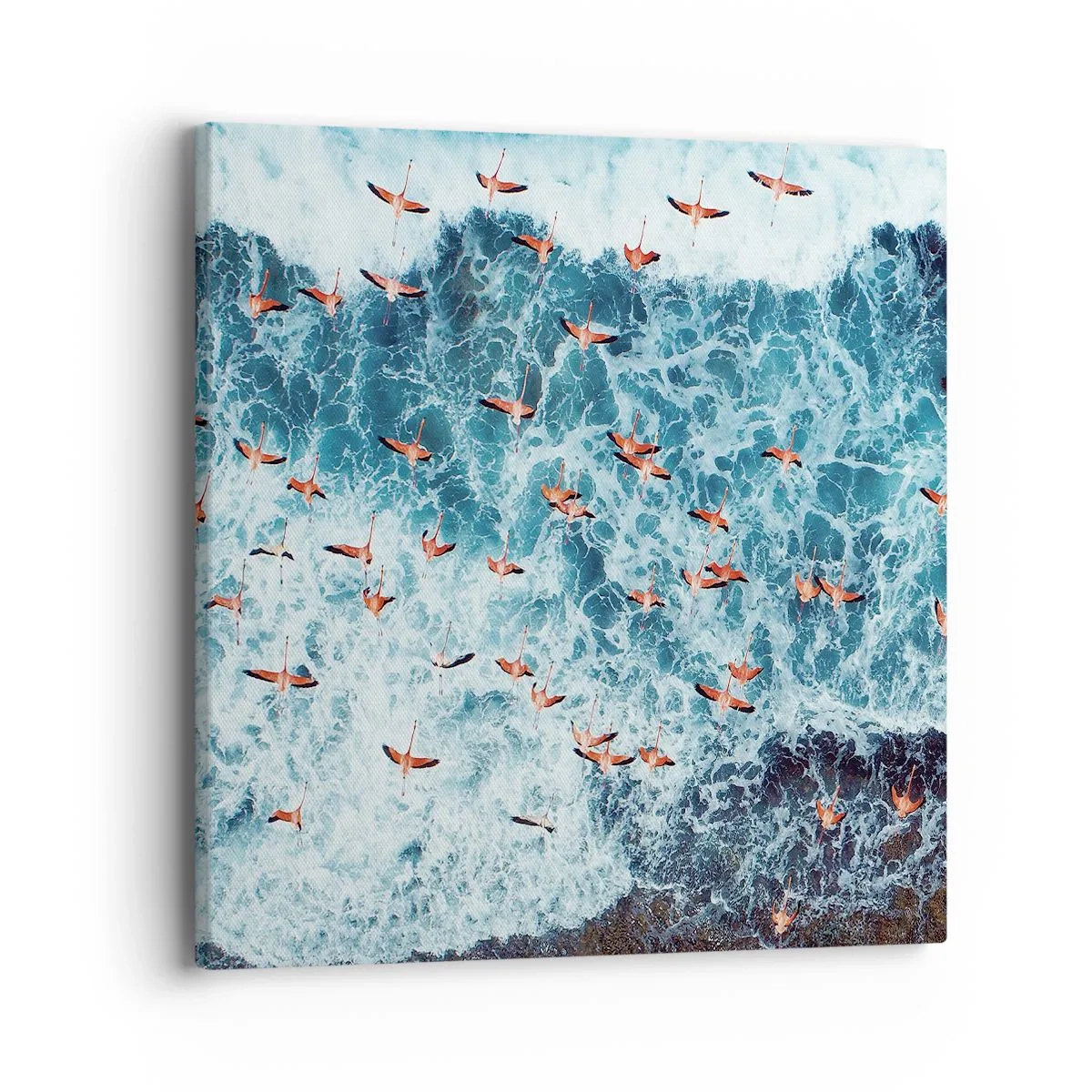 Obraz na plátně - Přímořský průvod - 40x40 cm