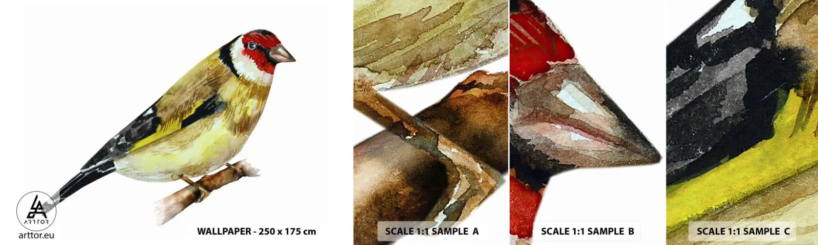 Vzor Fototapety Samolepicí Deluxe Sticker - Ptáčí portrét - Stehlík, Pták, Kus - 100x30 cm