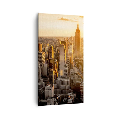 Obraz na plátně - Růst na slunci - 55x100 cm