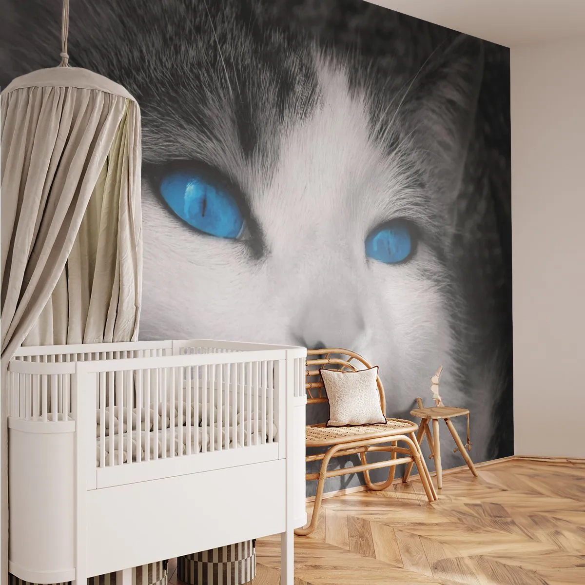 Fototapeta Standard Eco - Neobvyklý modrooký - Zvířata, Kočka, Modré oči - 250x175 cm