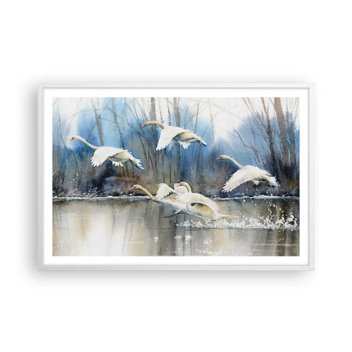 Plakát v bílém rámu - Jako v povídce o divokých labutích - 91x61 cm