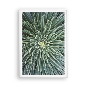 Plakát v bílém rámu - Zrození hvězdy - 70x100 cm