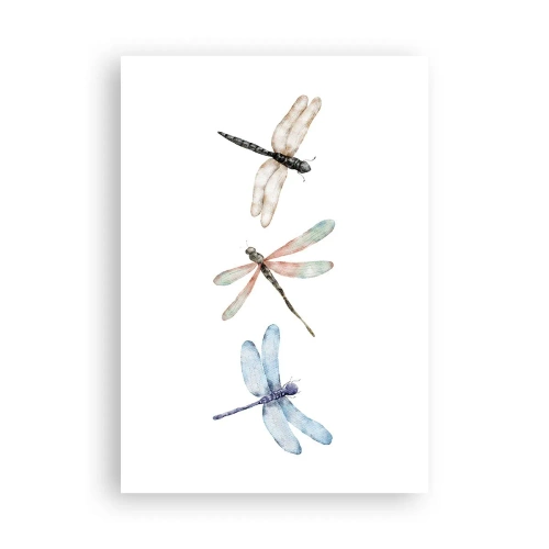 Plakát - Beztížné vážky - 70x100 cm