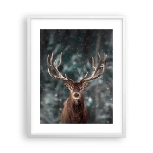 Plakát v bílém rámu - Skutečný král lesa - 40x50 cm