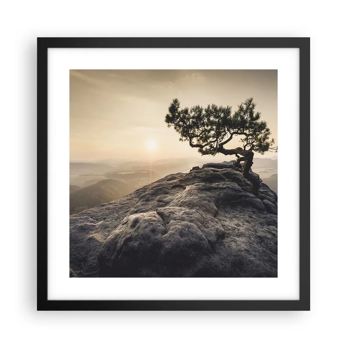 Plakát v černém rámu - Život vždy vítězí - 40x40 cm