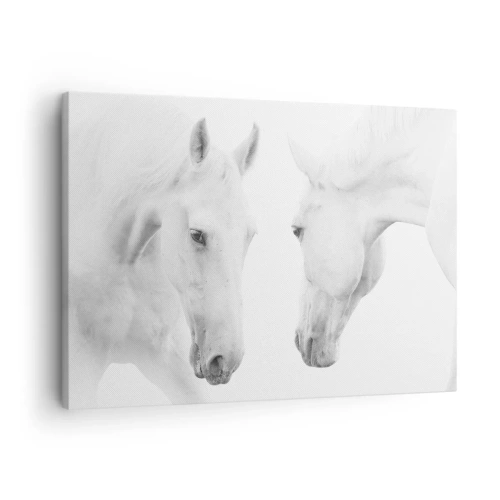 Obraz na plátně - Minimalistický portrét dvou bílých koní - 70x50cm - Je to přátelství…? - Moderní nástěnná dekorace do obývacího pokoje a ložnice ARTTOR