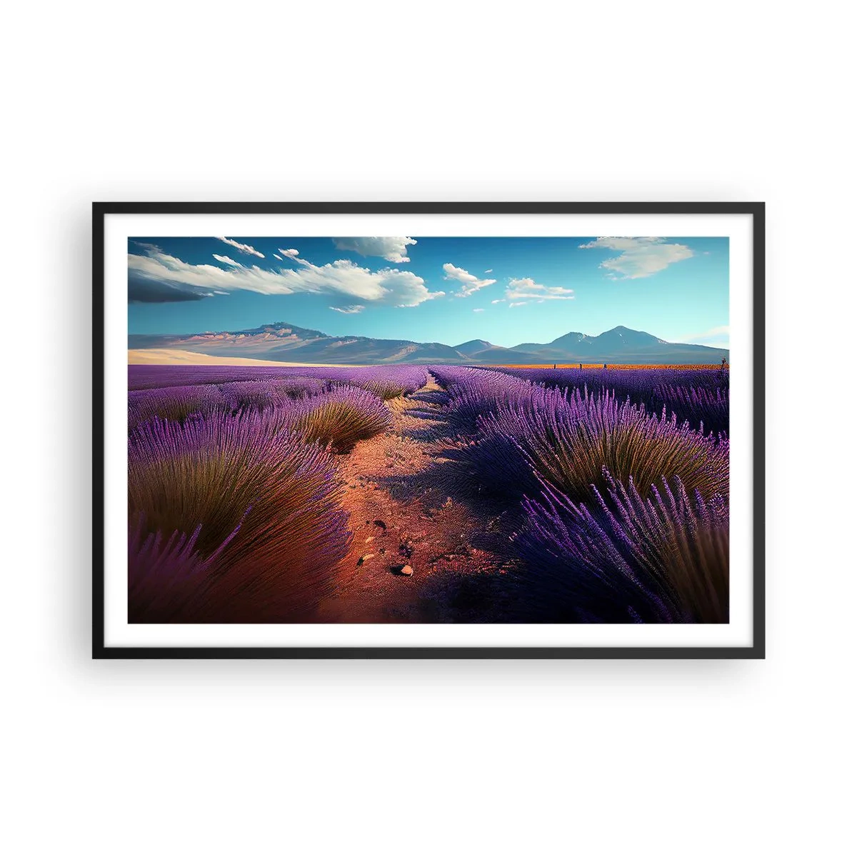 Plakát v černém rámu - Voňavá pole - 91x61 cm