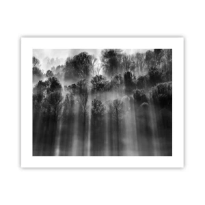 Plakát - V paprscích světla - 50x40 cm