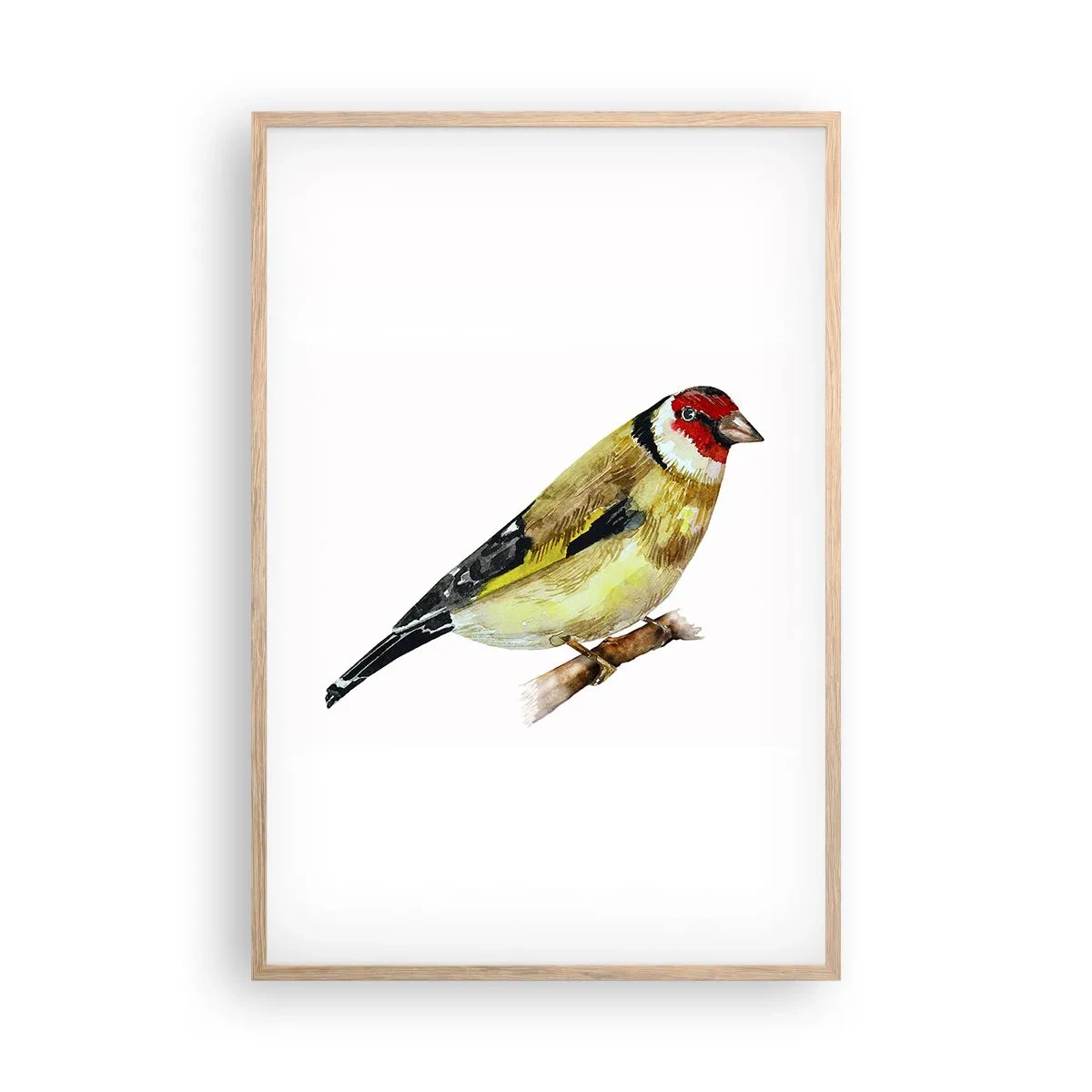 Plakát v rámu světlý dub - Ptáčí portrét - 61x91 cm