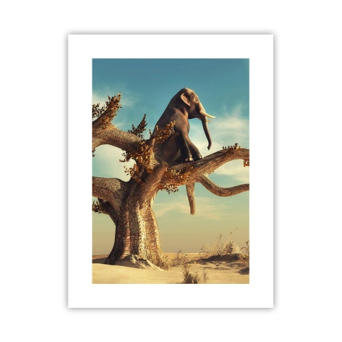 Plakát - Nový úhel pohledu - 30x40 cm