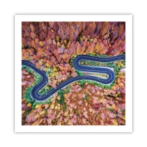 Plakát - Klikatá cesta lesem - 60x60 cm