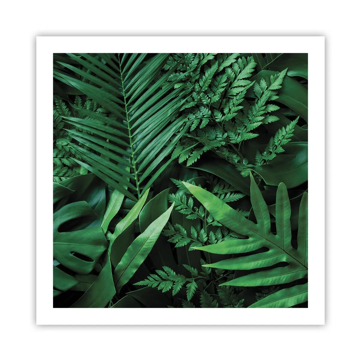 Plakát - Objaté v zeleni - 60x60 cm