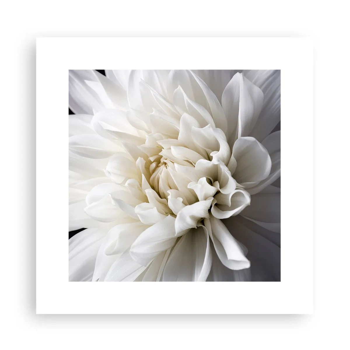 Plakát - Dopoledne s nevěstou - 30x30 cm