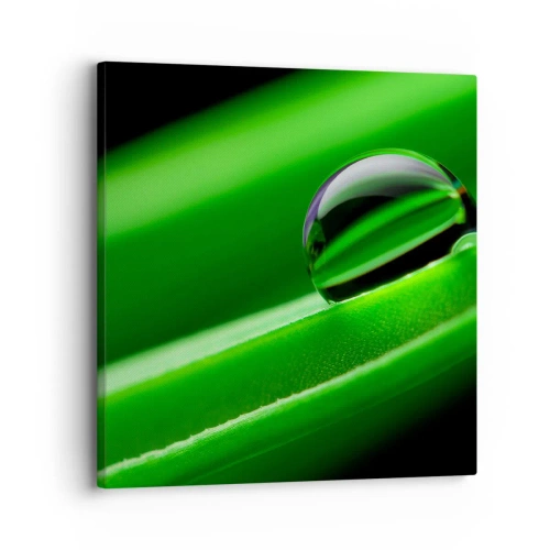 Obraz na plátně - Život z blízka - 30x30 cm