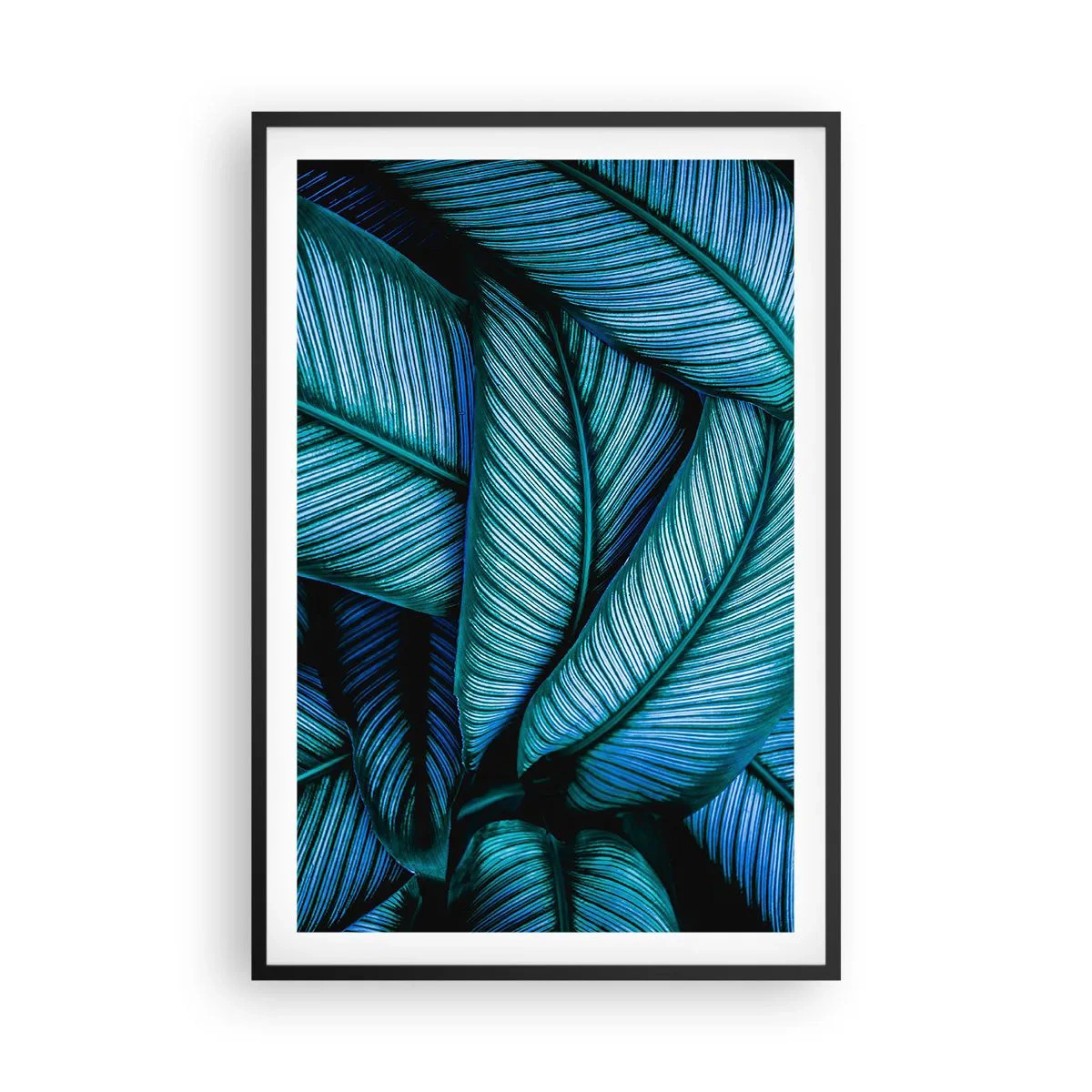 Plakát v černém rámu - Čáry života - 61x91 cm