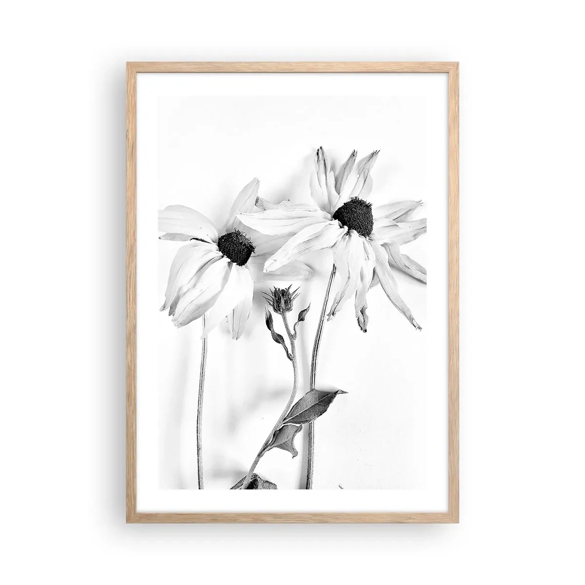 Plakát v rámu světlý dub - Nikdo nechce být sám - 50x70 cm