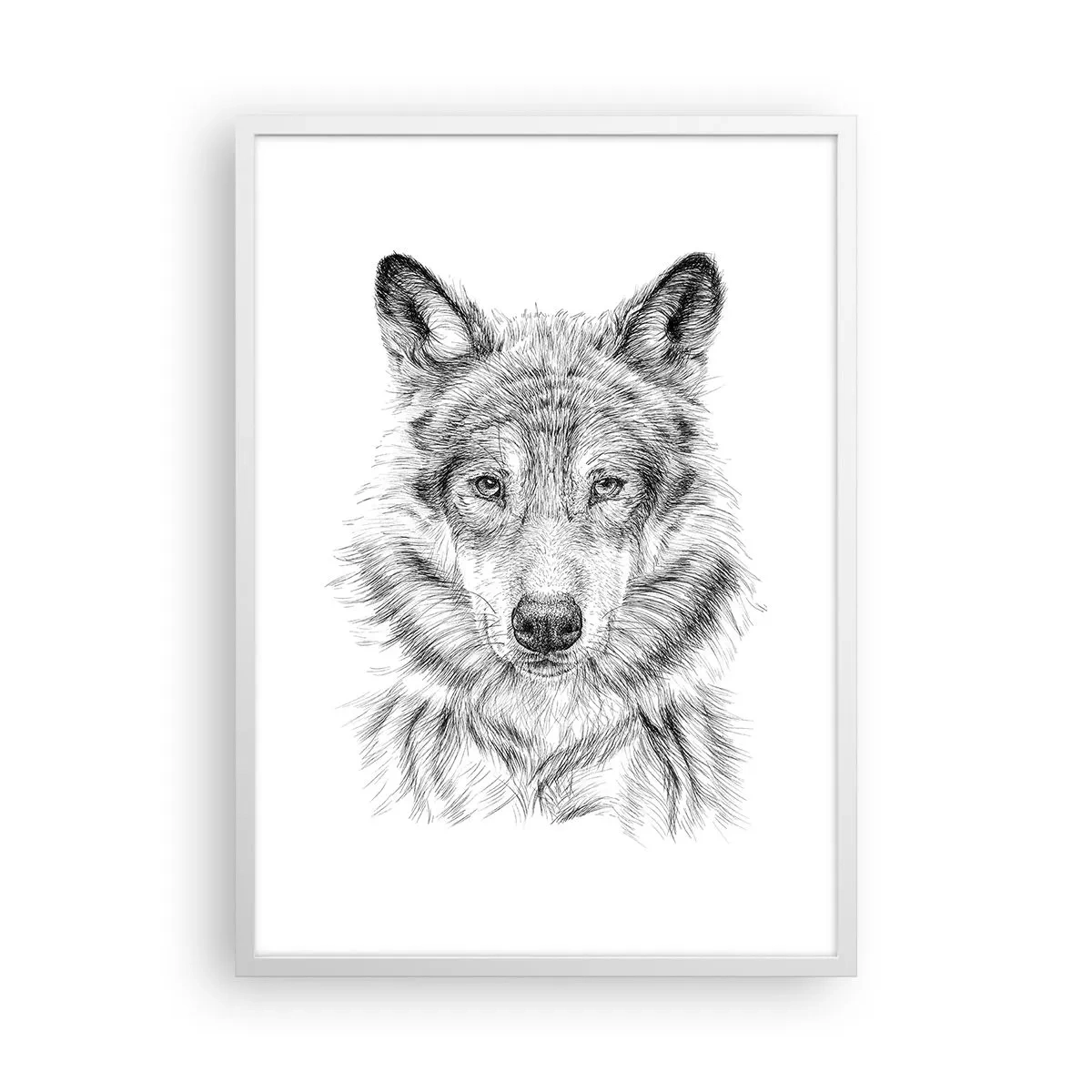 Plakát v bílém rámu - Rozený vůdce - 50x70 cm