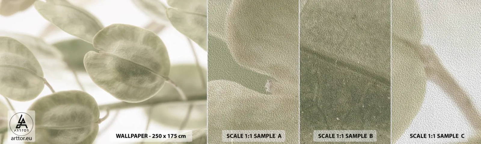 Vzor Fototapety Premium Sand - Na začátku bylo listí… - Květiny, Uklidnit, Listy - 100x30 cm