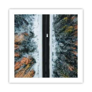 Plakát - Přes zimní les - 50x50 cm