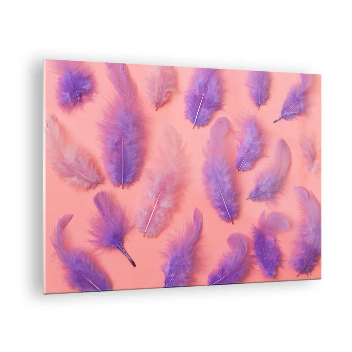 Obraz na skle - Fialové peří na růžovém pozadí v jemné kompozici - 70x50cm - Liliový pták touhy - Moderní nástěnná dekorace do obývacího pokoje a ložnice ARTTOR