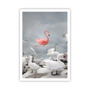 Plakát - Kde jsem se tu vzal? - 70x100 cm