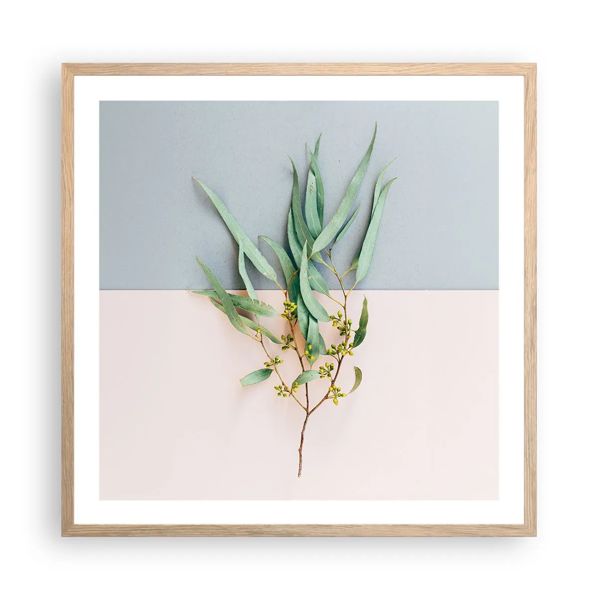 Plakát v rámu světlý dub - Pastelová jemnost - 60x60 cm