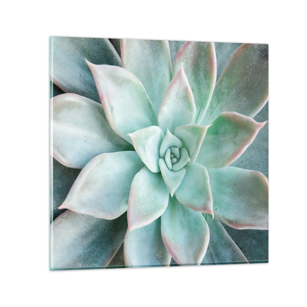 Obraz na skle - Srdce pouště - 30x30 cm