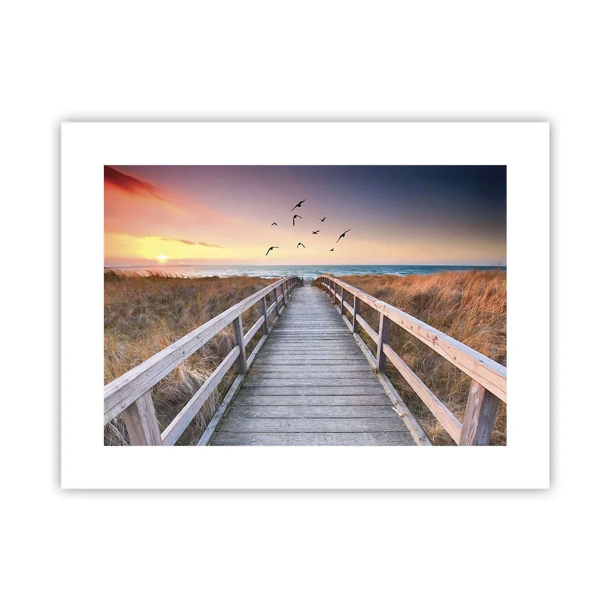 Plakát - Prostor pro vzestupy - 40x30 cm