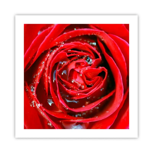 Plakát - V kapkách rosy - 50x50 cm