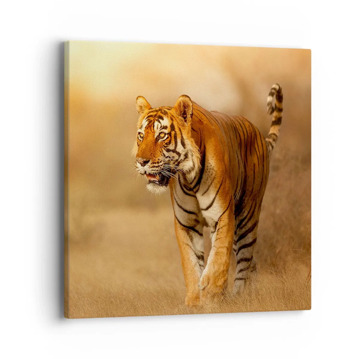 Obraz na plátně - Před útokem - 40x40 cm