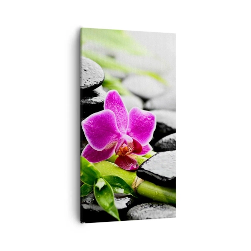 Obraz na plátně - V klidné rovnováze - 55x100 cm