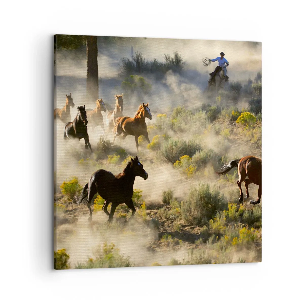 Obraz na plátně - Rivalita - svoboda nebo mužská síla? - 50x50 cm