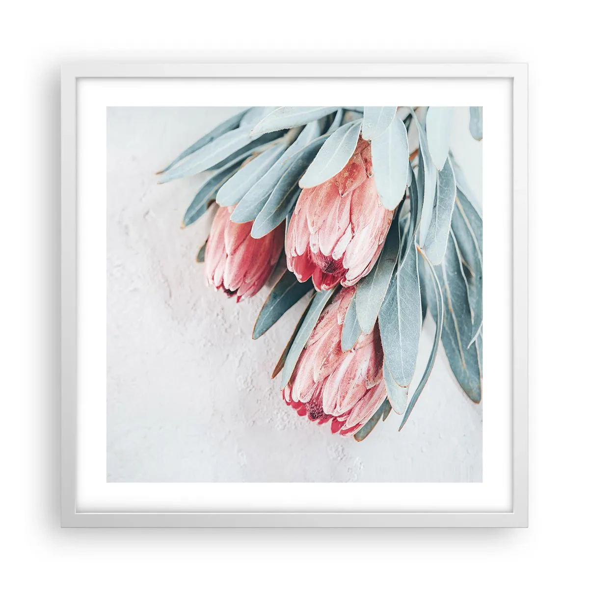 Plakát v bílém rámu - Zahanbené svou vlastní krásou - 50x50 cm