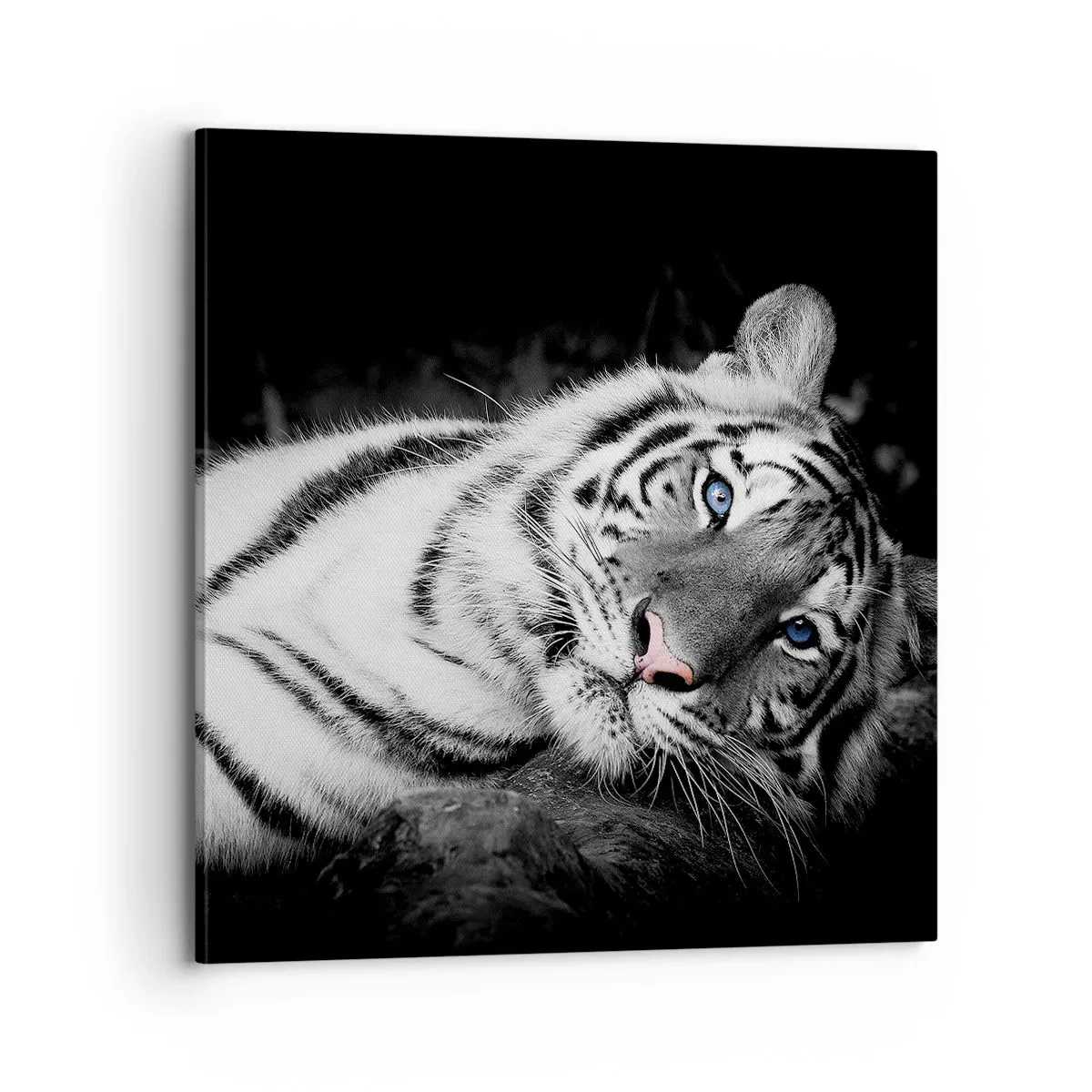 Obraz na plátně - Divočina a klid - 70x70 cm