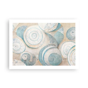 Plakát - Co skrývá mušle? - 70x50 cm