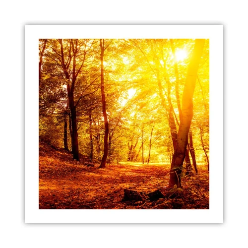 Plakát - Ke zlaté mýtině - 50x50 cm